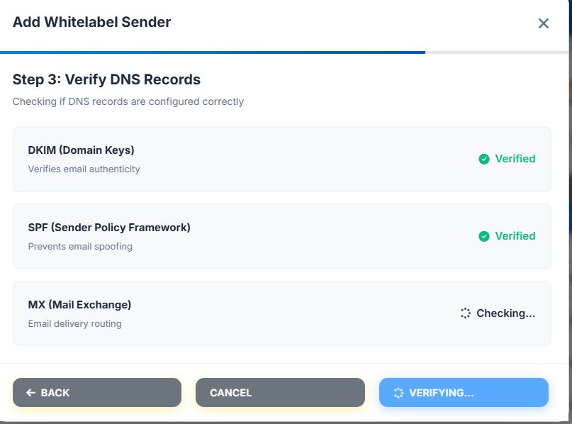 verifikasi dns recrod